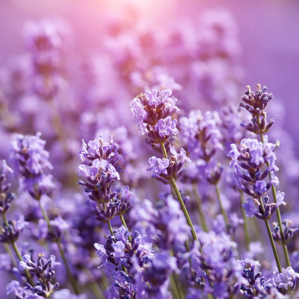 20250515_180612_0000